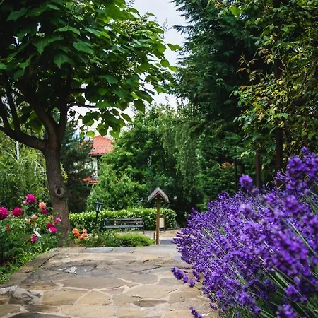 Viva Mare By Santa Marina 酒店