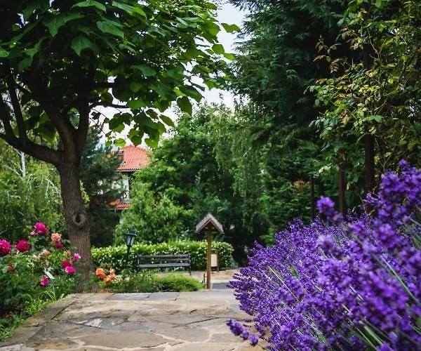 Viva Mare By Santa Marina Отель